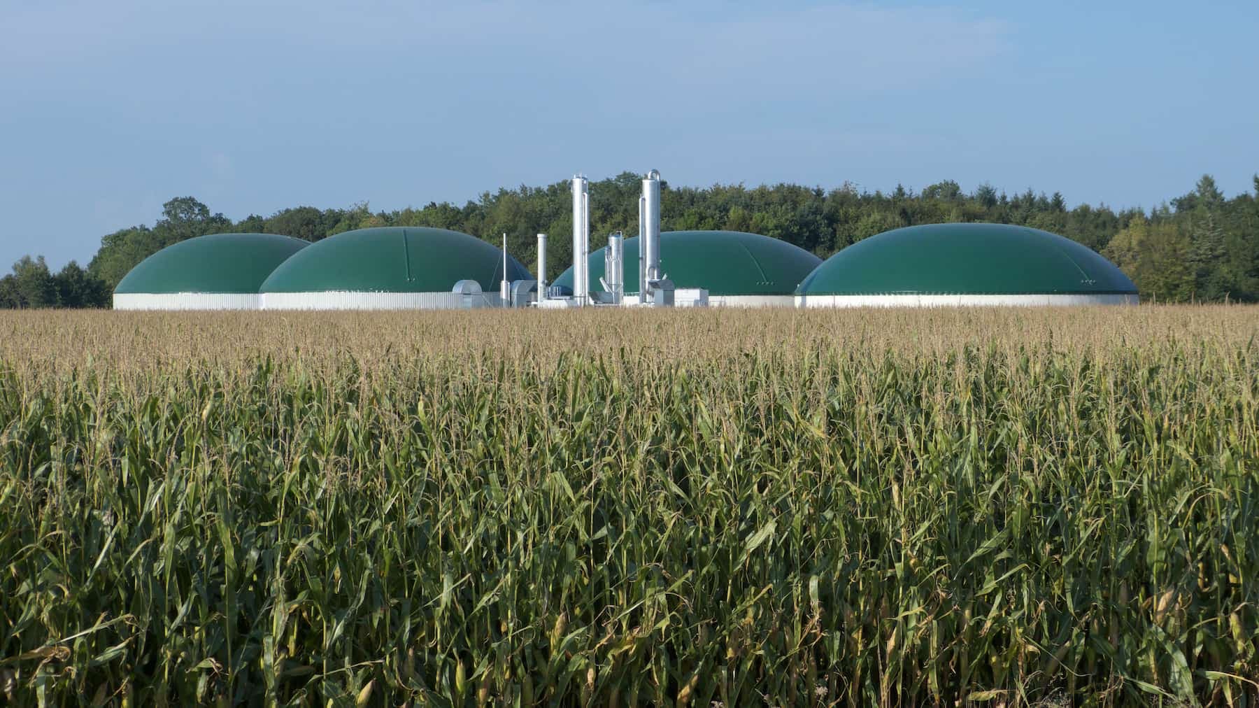 Biometano: una grande opportunità, a patto che sia fatto bene 