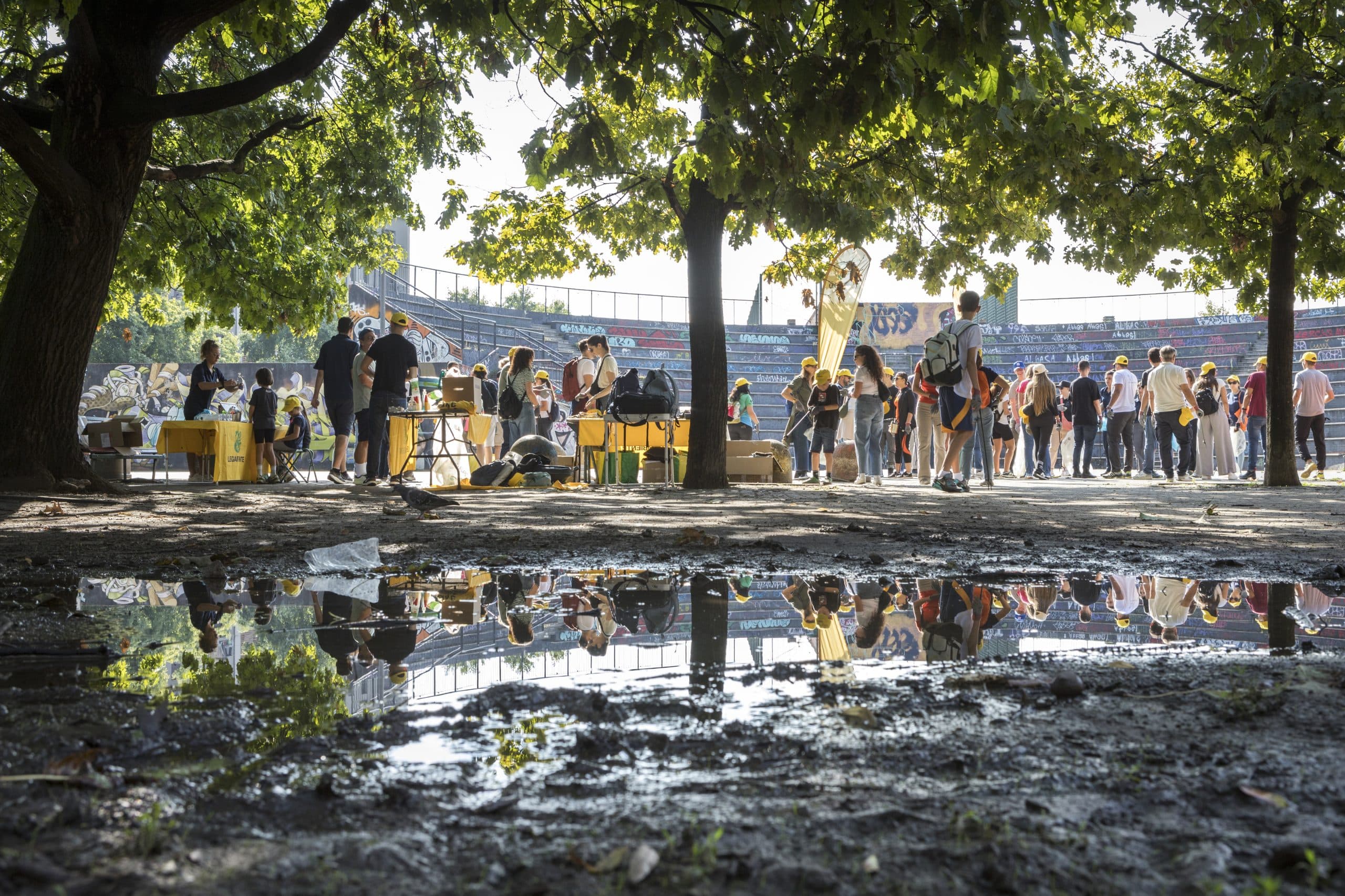 Immagine non disponibile