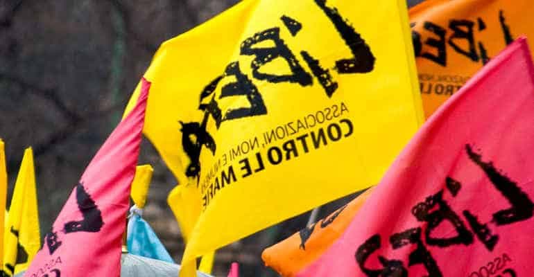 Immagine non disponibile