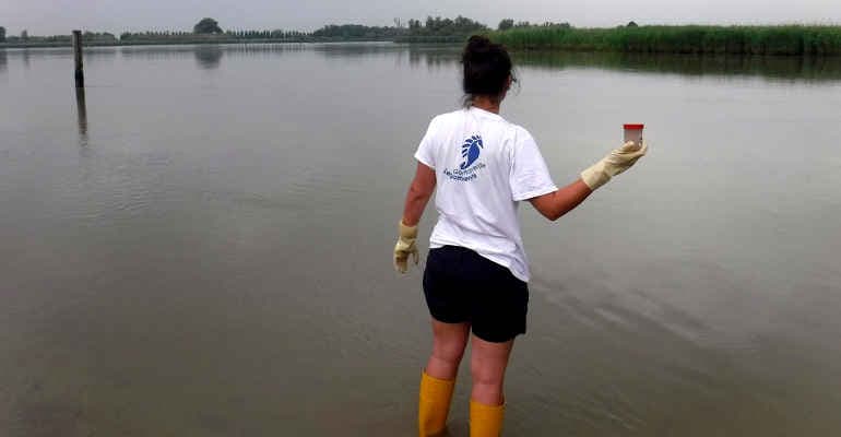 Il monitoraggio di Goletta Verde in Veneto
