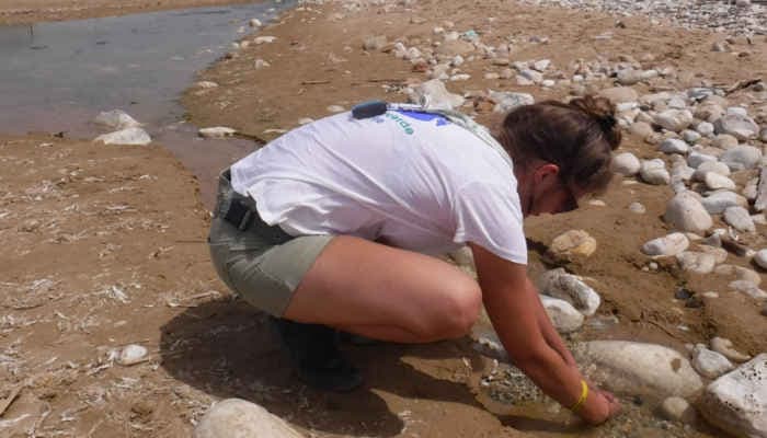 Inquinamento alla foce del torrente Modica-Scicli
