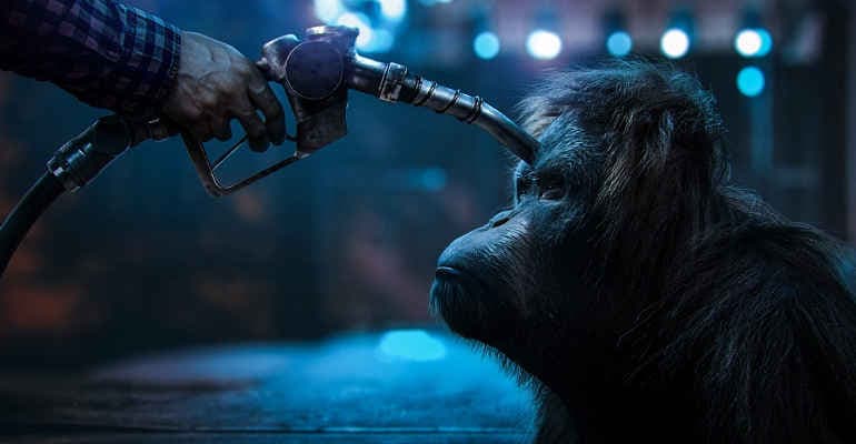 Olio di Palma nei serbatoi, le proposte di Legambiente