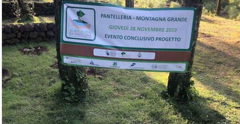 Pantelleria: messe a dimora 1.500 piantine autoctone