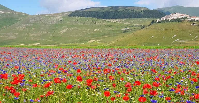 #CastelluccioaPiedi, un altro modo di vivere la piana