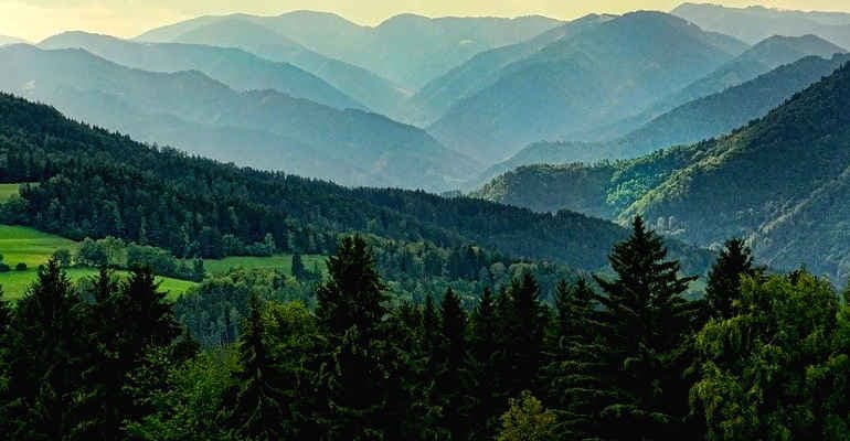 Foreste e lotta alla crisi climatica. Il decalogo di Legambiente sulla biodiversità e il patrimonio forestale