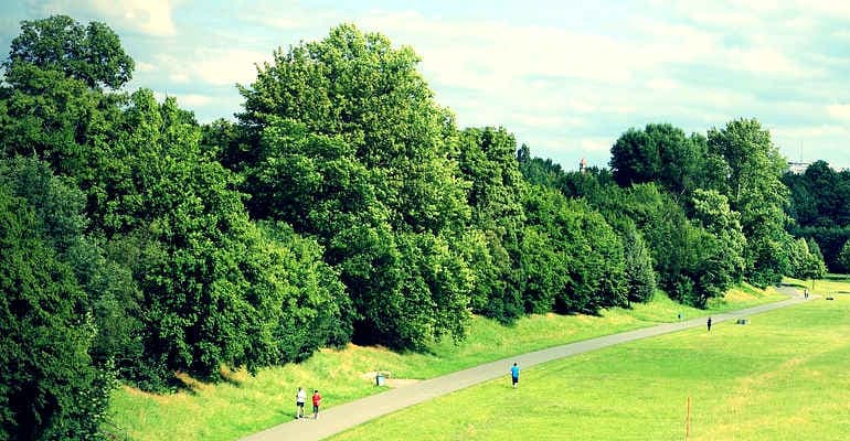 Anteprima dati Park litter e progetto “Bellezza al quadrato”