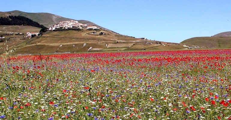 Verso una gestione sostenibile della Piana di Castelluccio