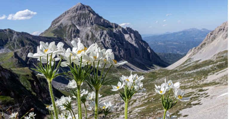 Forum degli Appennini 2021, la road map di Legambiente per ridurre impatto climatico