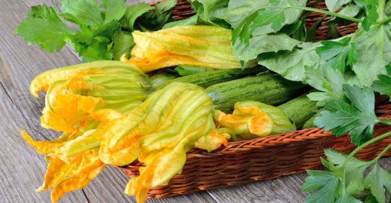 Via libera definitivo alla Legge sull’agricoltura biologica