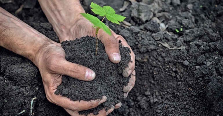 Il suolo: una risorsa da tutelare