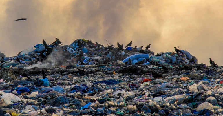 Rapporto Ecomafia