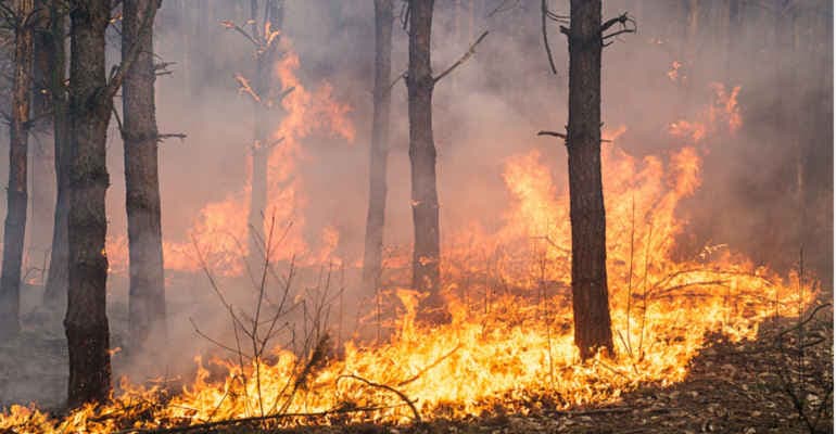 Sos incendi