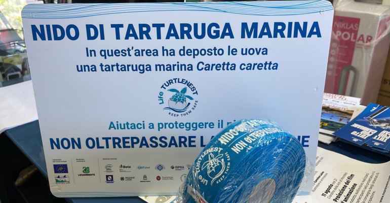 Nidi tartarughe marine, il 2023 è l’anno del record