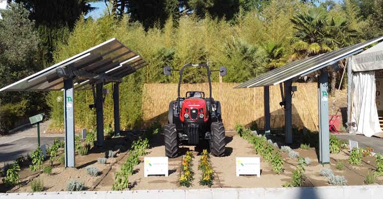 Festambiente 2024, oggi Grosseto capitale dell’agrivoltaico