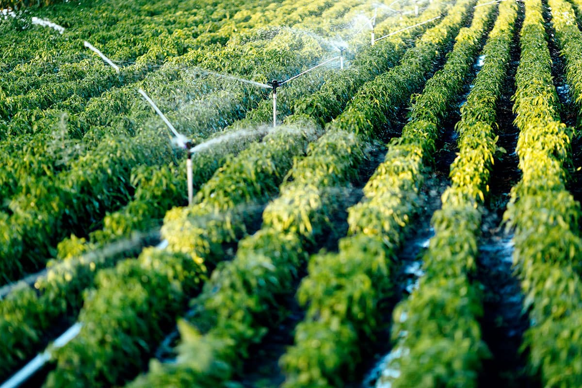 VI Forum Acqua