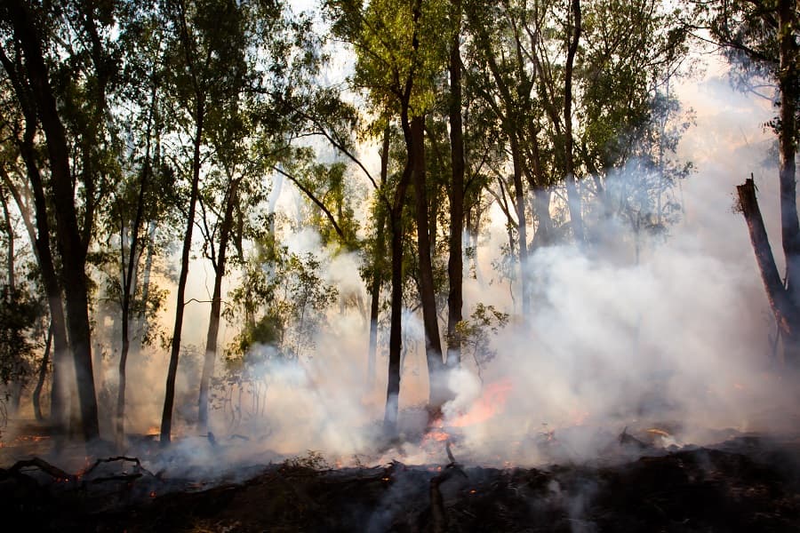 Monitoraggio e prevenzione incendi