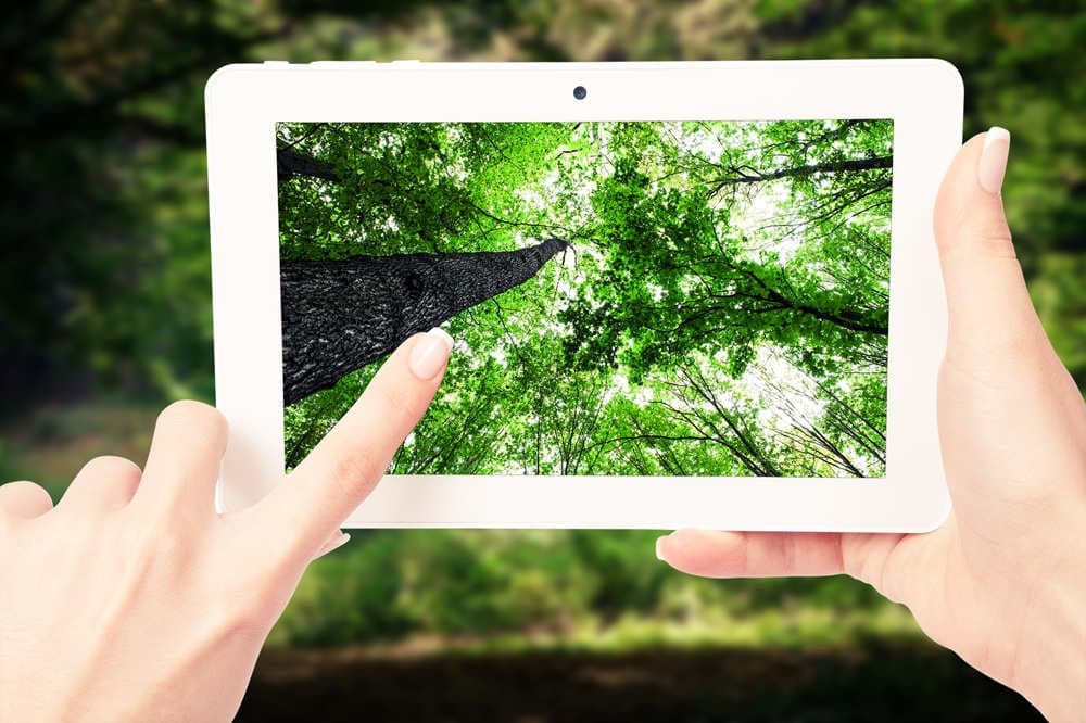 Innovazione e sostenibilità: il futuro è già qui 