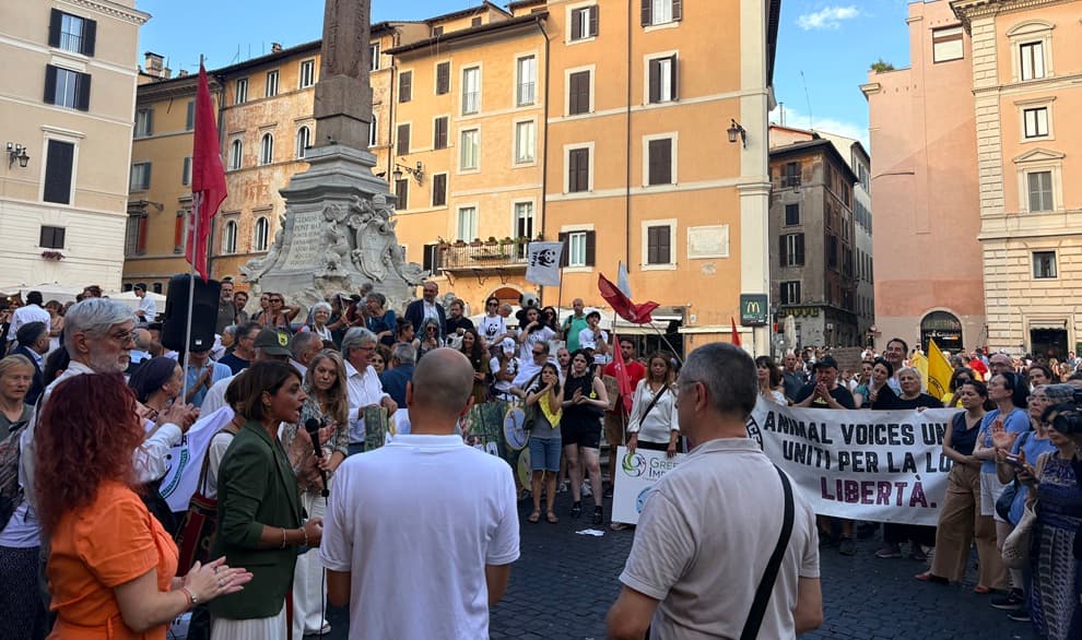 DDL Caccia: voto al Senato è violenza contro la natura e gli animali selvatici 