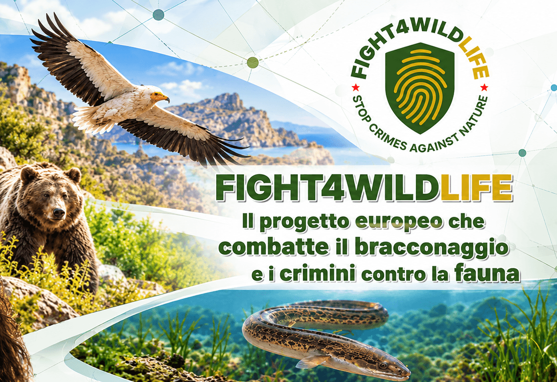 LIFE FIGHT4WILDLIFE