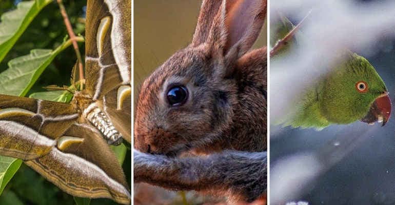 Immagine non disponibile