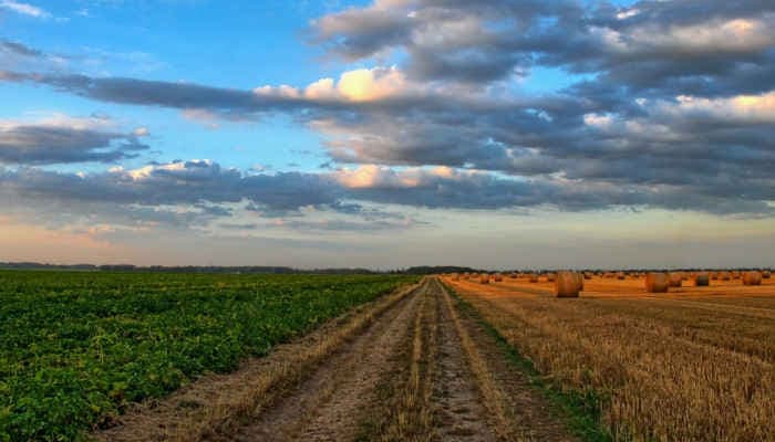 Pac. L’appello di oltre 3600 scienziati Europei all’UE