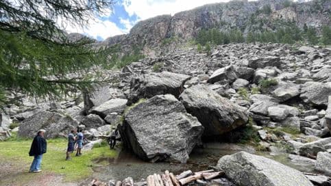 Immagine non disponibile