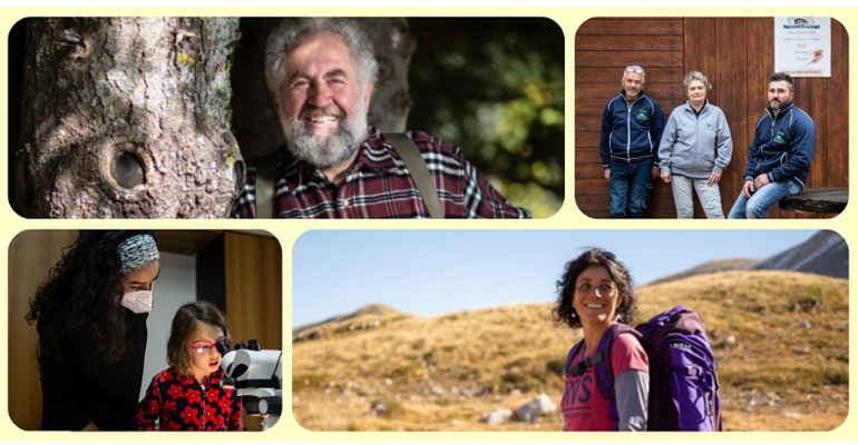 Immagine non disponibile