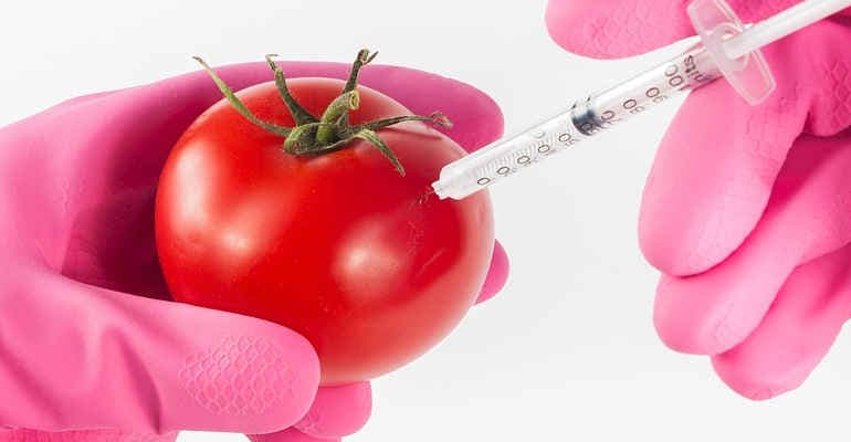 Decreti Sementi-OGM. Il commento delle associazioni