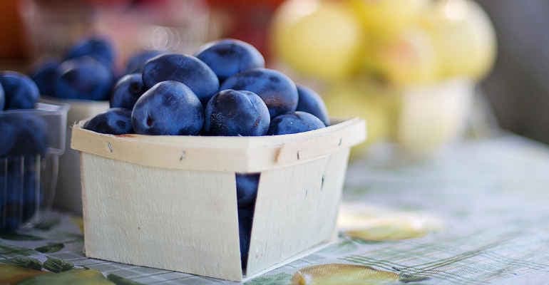 Legge Bio, ok da Commissione Senato