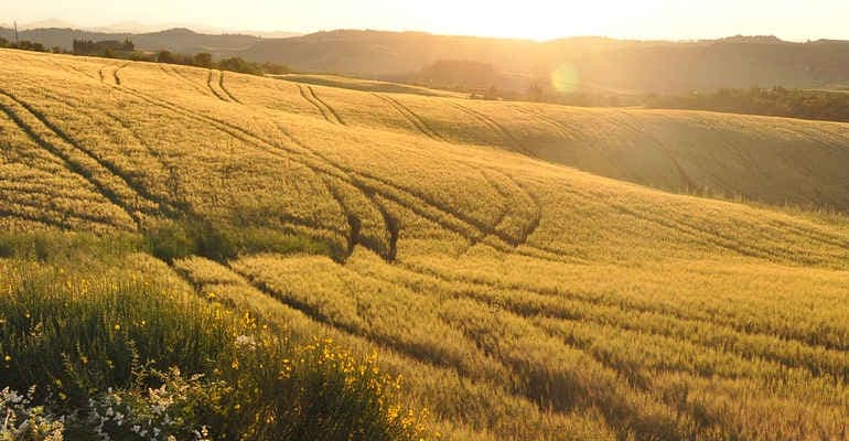 Legambiente e GOEL insieme per la sostenibilità