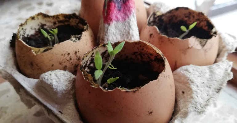 Legambiente al RomaeuropaFestival: laboratori dedicati ai bambini per imparare a rispettare il Pianeta