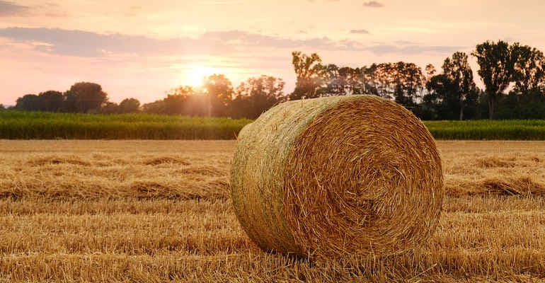 Approvata la riforma della PAC: adesso la palla passa agli Stati membri