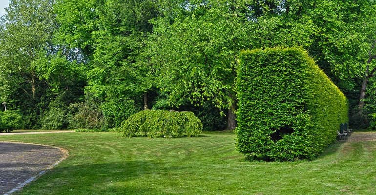 Città più verdi: 6.400 nuovi alberi grazie al progetto Legambiente-Eurizon