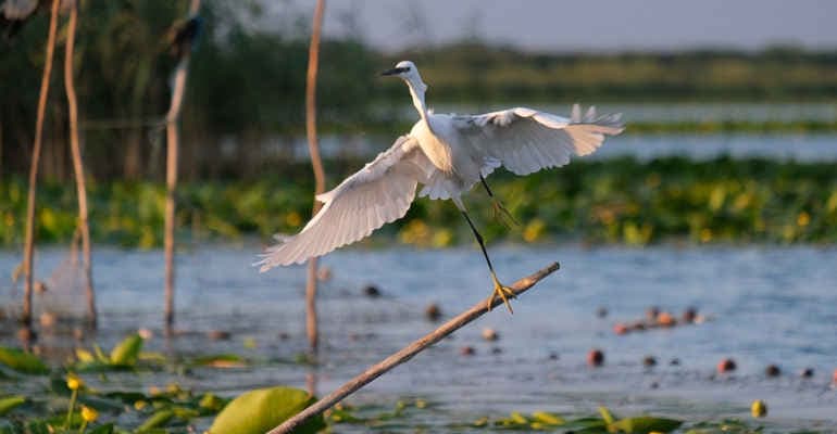 30ennale legge aree protette. Il bilancio di Legambiente