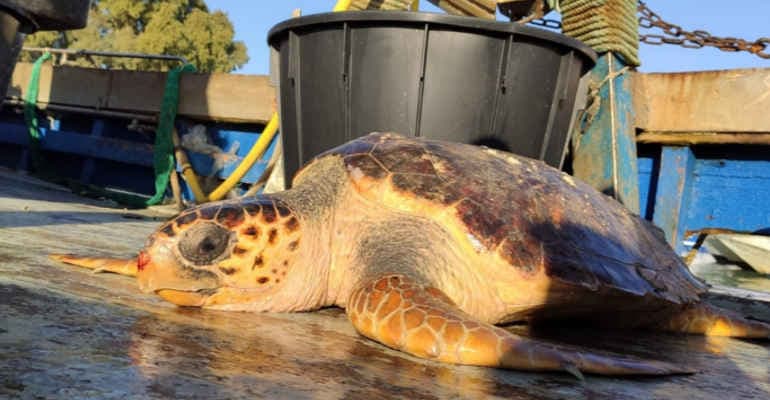 San Valentino 2022, partecipa al contest Tartalove