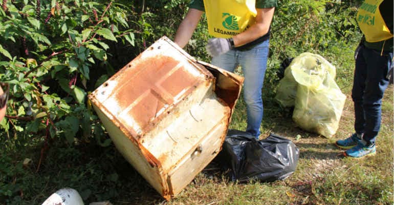 Immagine non disponibile