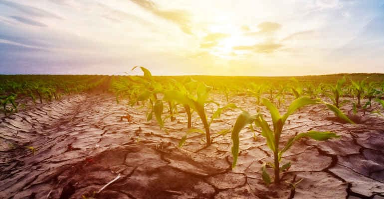 Emergenza siccità. L’appello delle associazioni