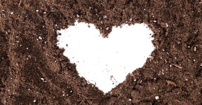World Soil Day