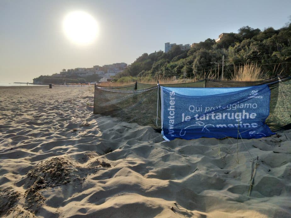 Legambiente Puglia chiede l’istituzione di un Osservatorio/Tavolo tecnico regionale per la tutela e la salvaguardia della Biodiversità