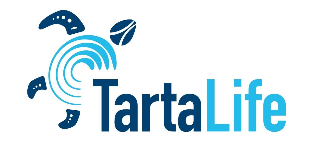 Ridurre la pesca accidentale delle tartarughe marine: azioni concrete tramite il progetto TartaLife, tra i partner anche Legambiente