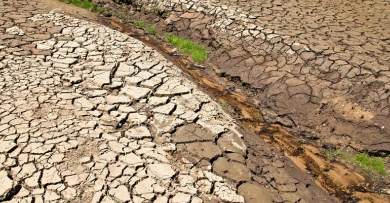 Emergenza climatica e fenomeni meteo idrogeologici estremi. Al via Life Climax Po