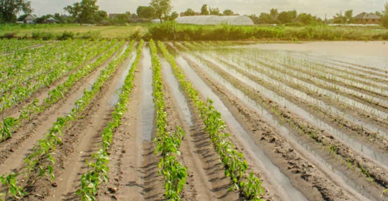 Festambiente 2023, oggi focus su agroecologia