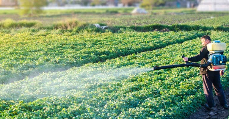 Agricoltore sparge fitofarmaci in campo di patate