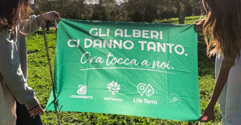 Festa dell’Albero, nuovi alberi contro smog e crisi climatica