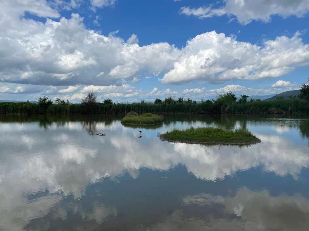 Bellezza Italia: interventi a “Podere la Querciola”