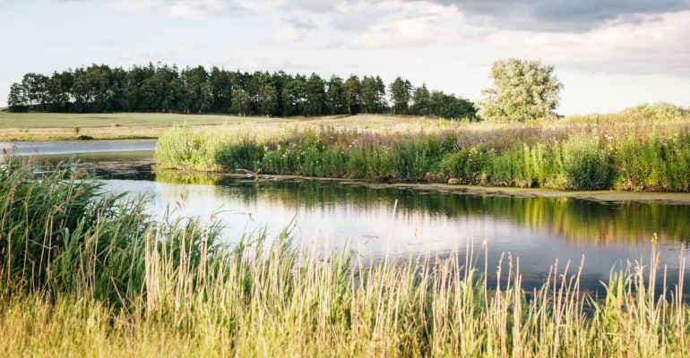 Ue, via libera finale a legge sul ripristino della Natura (Nature Restoration Law)
