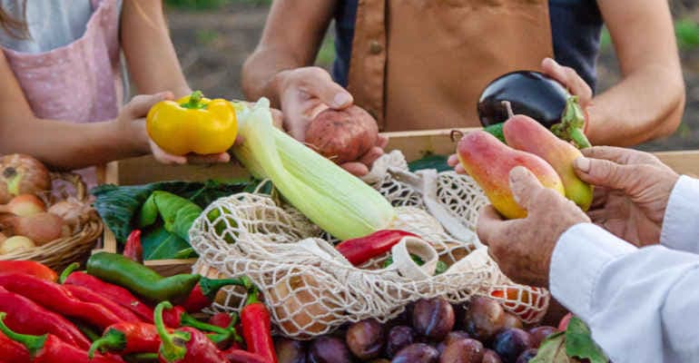 VI Forum Agroecologia Circolare