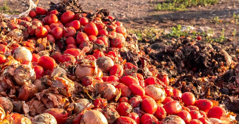 Settimana europea per la riduzione dei rifiuti: dalle parole all’azione