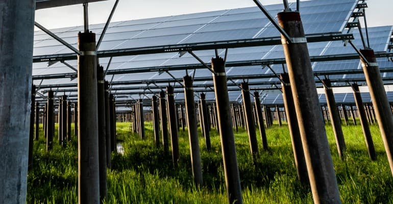 Agrivoltaico: unione vincente tra fotovoltaico e agricoltura