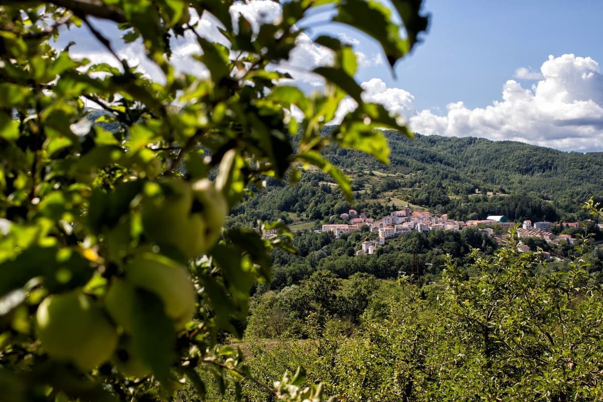 Progetto Appenino 2026